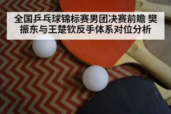table tennis paddle close up